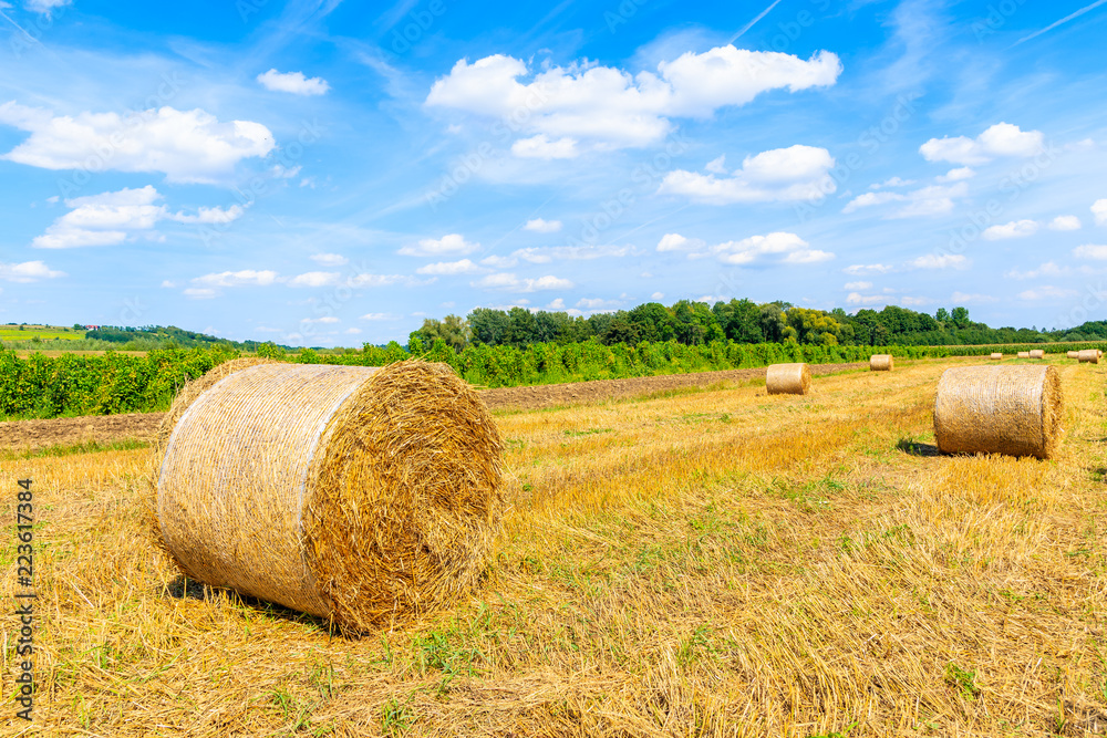 Hay bales on field near Cracow city on summer day with beautiful sunny sky and white clouds, Poland