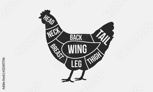 Meat cuts. Cuts of chicken. Chicken silhouette isolated on white background. Vintage Poster for butcher shop. Retro diagram. Vector illustration