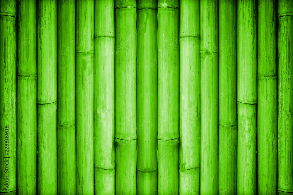 Naklejka green bamboo background