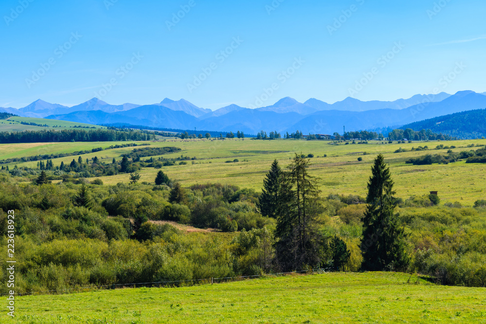 Green meadow in Czarny Dunajec village in Tatra Mountains summer landscape, Poland - obrazy, fototapety, plakaty 