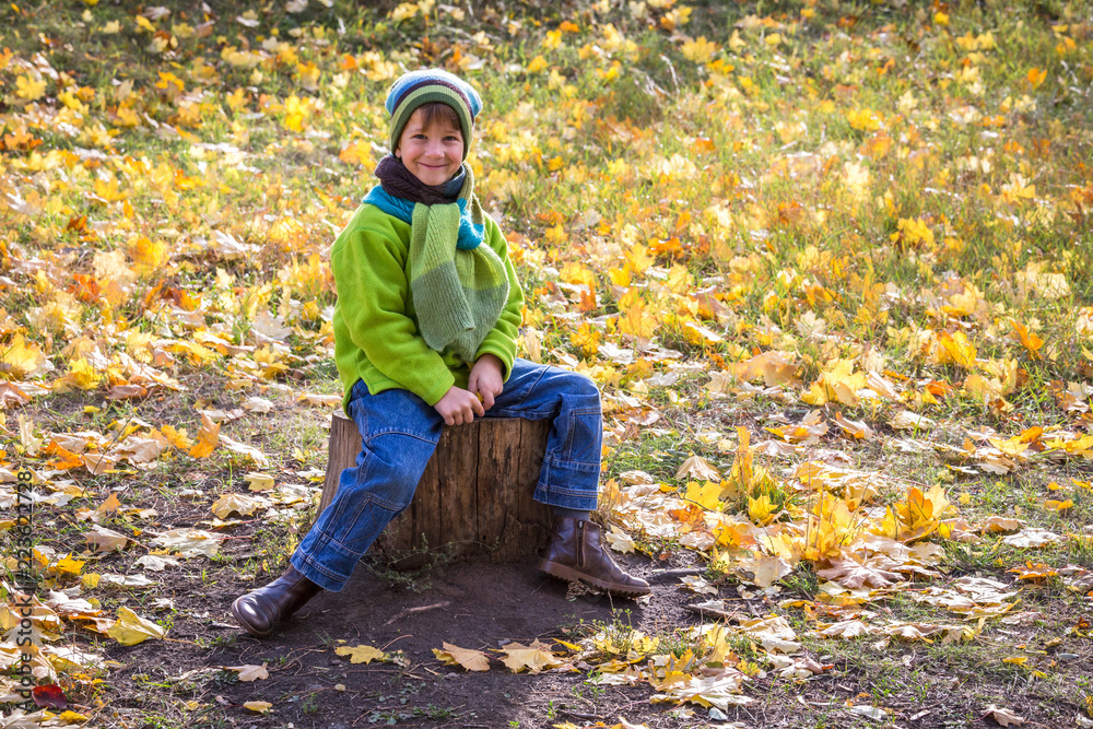 Smiling boy sitting at the autumn park Smiling boy sitting at the autumn park