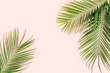 Exotic background, pattern with tropical palm leaves on pink background. Flat lay, top view minimal concept.