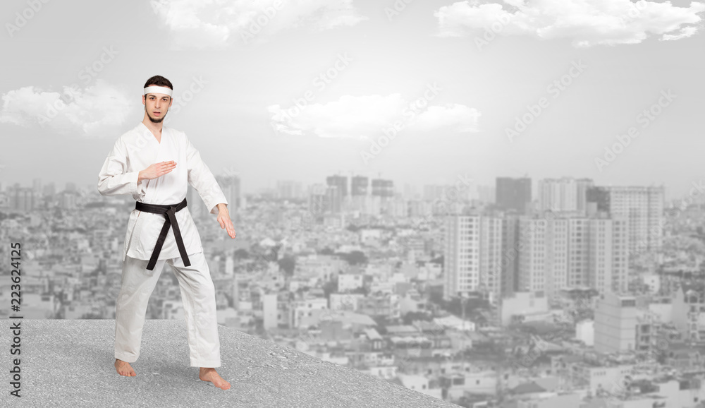 Young karate trainer doing karate tricks on the top of a metropolitan city
Young karate trainer doing karate tricks on the top of a metropolitan city