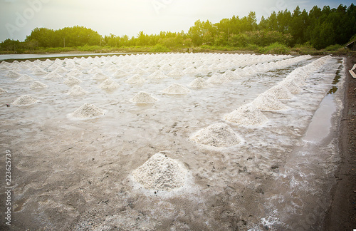 pile of raw salt at salt field. salt agriculture before ssalt saturation process in  factory. imafe for background, copy space and backdrop photo