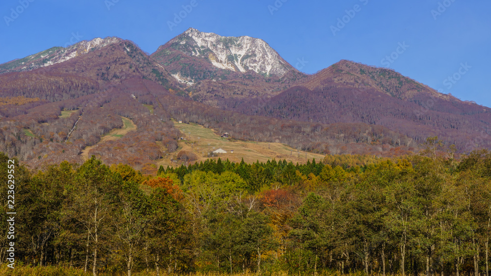 秋の妙高山の風景