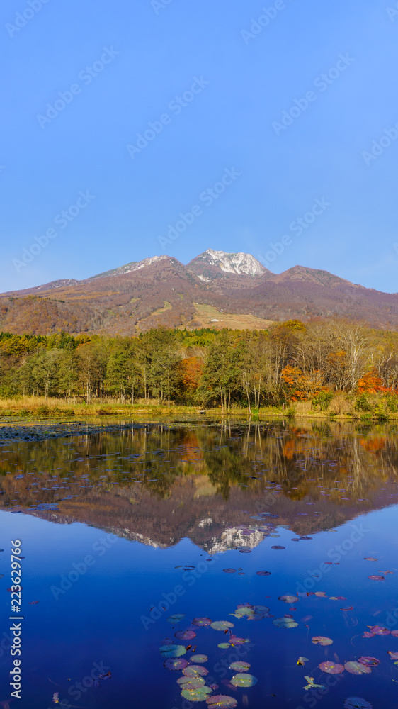 秋の朝のいもり池の風景