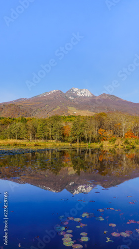 秋の朝のいもり池の風景