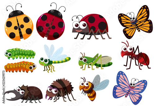 A set of insect © brgfx
