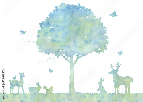 Photography 木と動物のイラスト