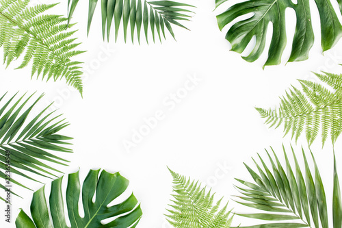 Frame with exotic tropical palm leaves monstera on white background. Flat lay, top view.