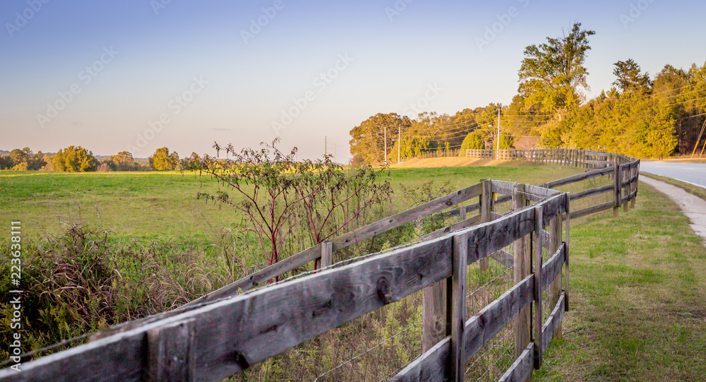 The fenced field