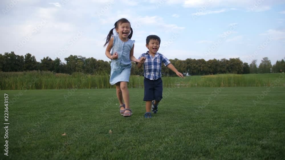 Carefree laughing adorable preschool asian girl and her cute younger toddler brother holding hands and running through park lawn. Excited siblings having fun, playing together and running in nature. Carefree laughing adorable preschool asian girl and her cute younger toddler brother holding hands and running through park lawn. Excited siblings having fun, playing together and running in nature.