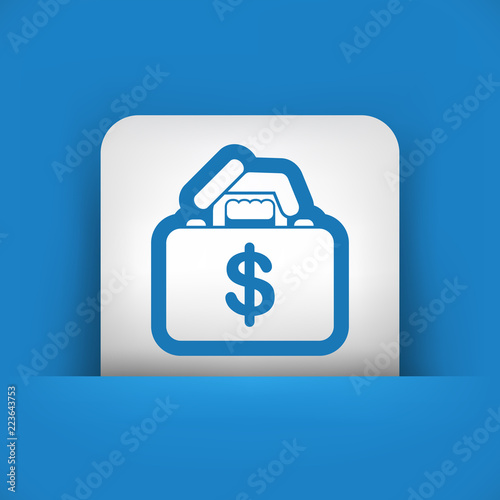 Money handbag