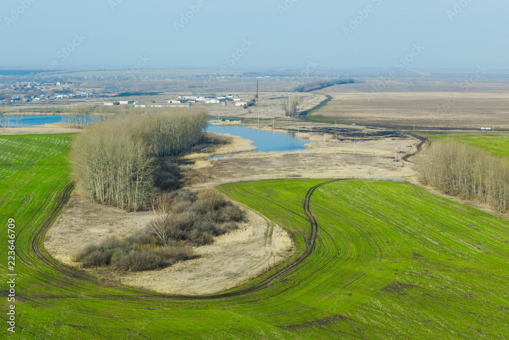 Field of green wheat and the fertility of the earth ecology. Aerial view. The concept of fertility