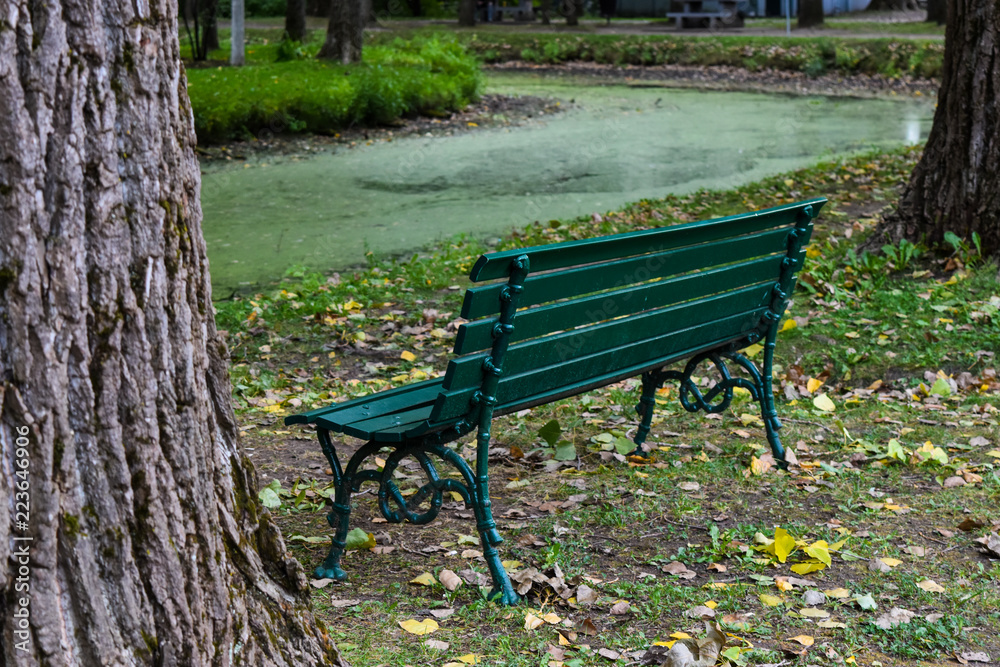 Bench in a park