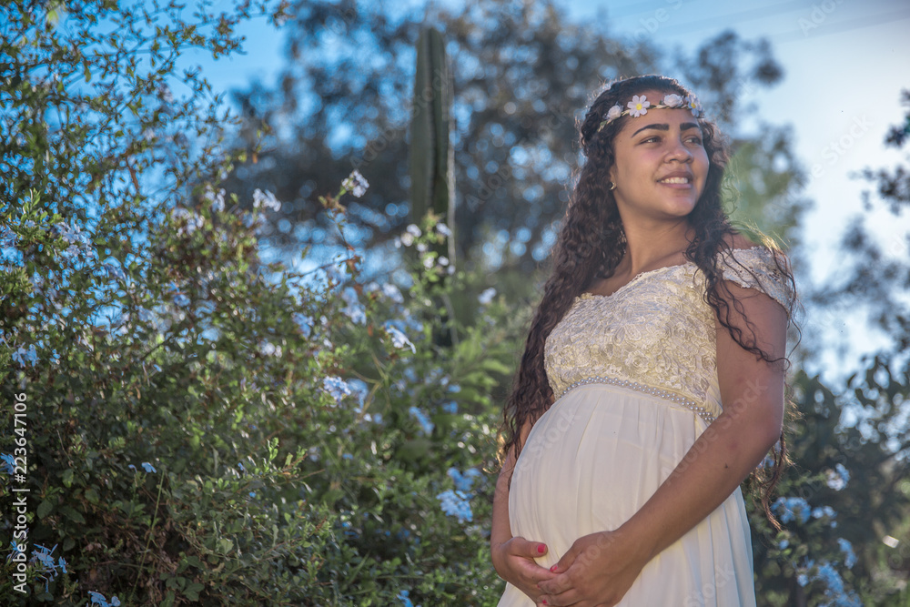 Naklejka premium Beautiful young pregnant woman