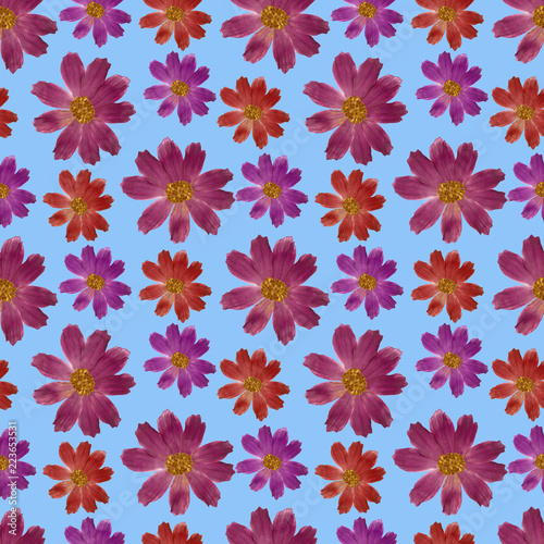 Cosmos. Seamless pattern texture of flowers. Floral background, photo collage