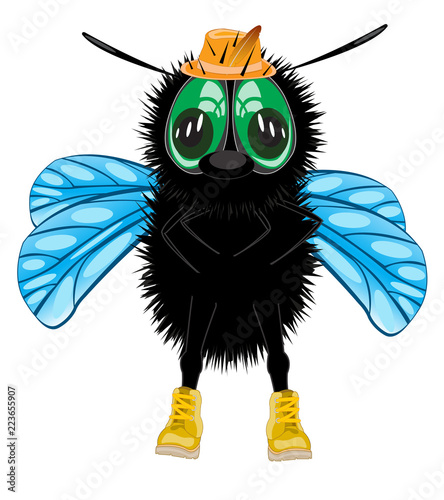 Cartoon insect fly in hat and shoe on white background