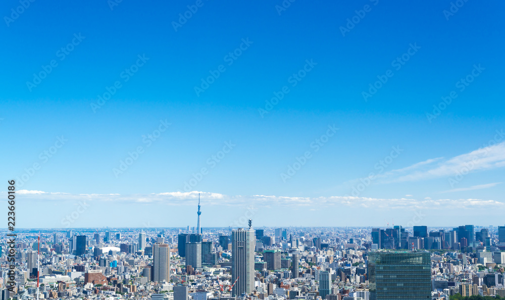 東京風景・青空と地平線・新宿から望む東京スカイツリー方面