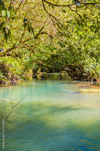 A typical view in Costa Rica