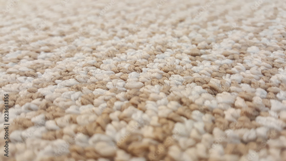 Carpet: Eggshell White Close Up Shot Carpet: Eggshell White Close Up Shot