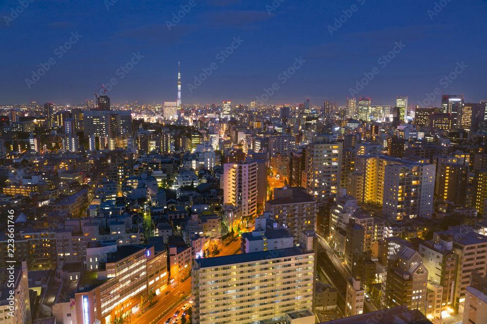 Naklejka premium 東京夜景・東京スカイツリーと街並み