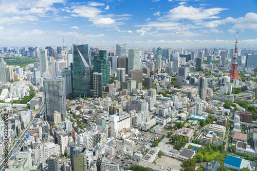 東京風景 夏 東京タワーと東京スカイツリーを望む 入道雲 Stock Photo Adobe Stock
