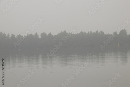 atmospheric scene in a light misty landscape