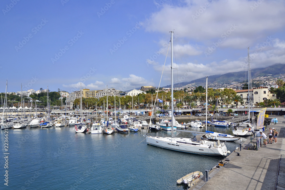 Sailing boats docked in the harbor on a sunny day, Funchal, Madeira Island
