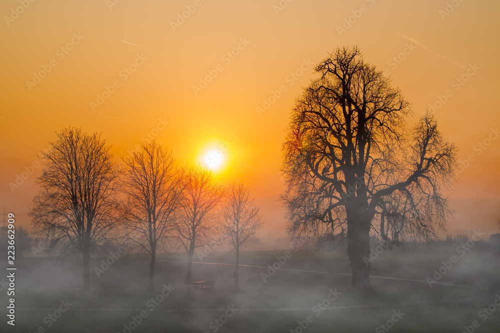 Herbstliche Stimmung mit der Sonne am Horizont