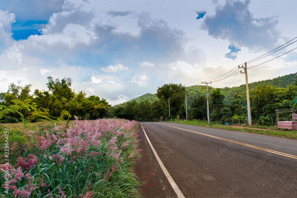 Fototapeta premium Rural roads are cultivated on two sides of the road, are arched and high hills and low hills.