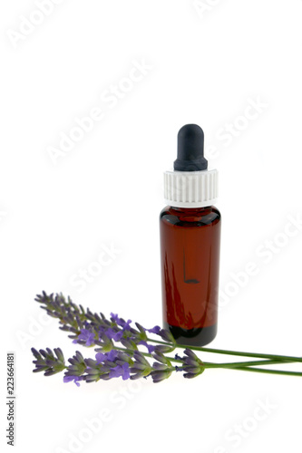 pure lavender oil. Lavender extract.lavender concentrate in a bottle of dark glass with a pipette and sprigs of fresh lavender isolated on a white background