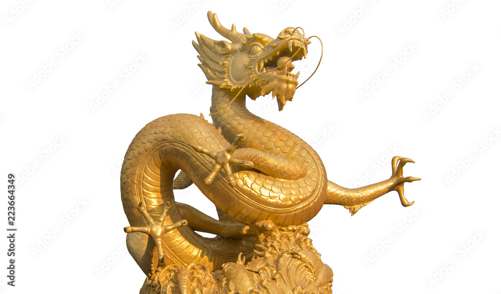 Golden dragon  on white background