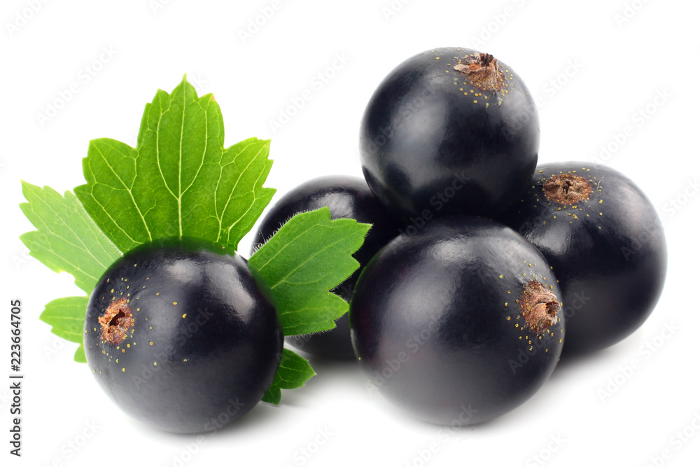 black currant with green leaf isolated on white background. macro black currant with green leaf isolated on white background. macro