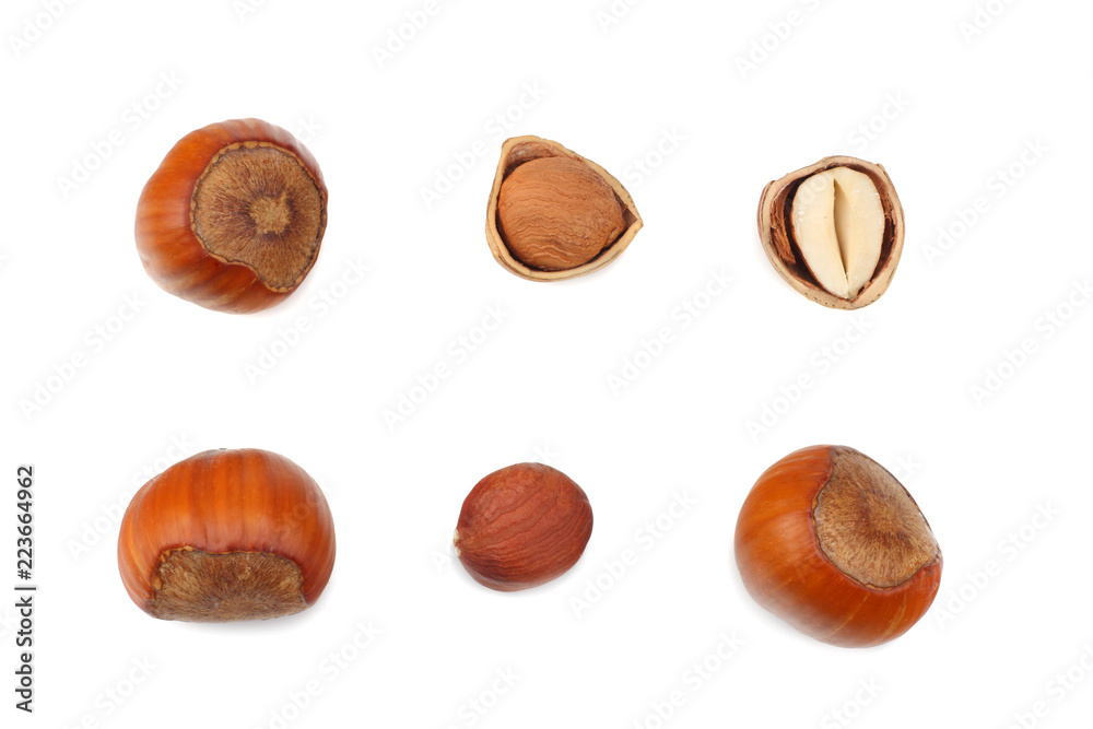 hazelnuts isolated on white background. top view hazelnuts isolated on white background. top view