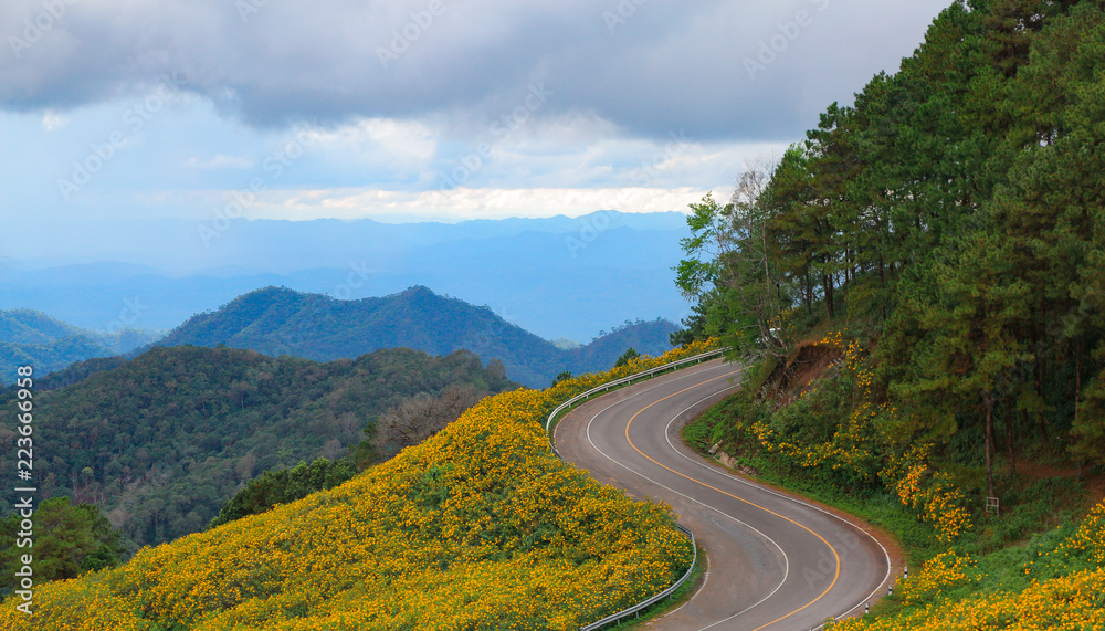 Curving mountain road through wildflowers.