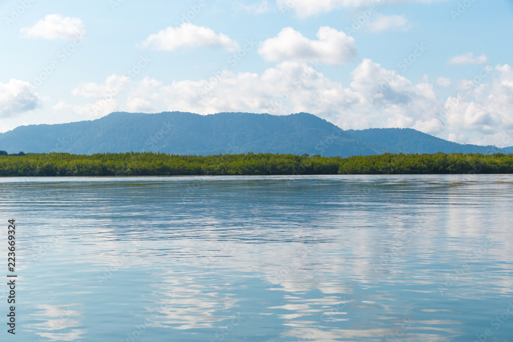 Summer forest river range landscape.