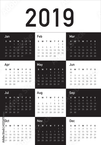Year 2019 calendar vector design template