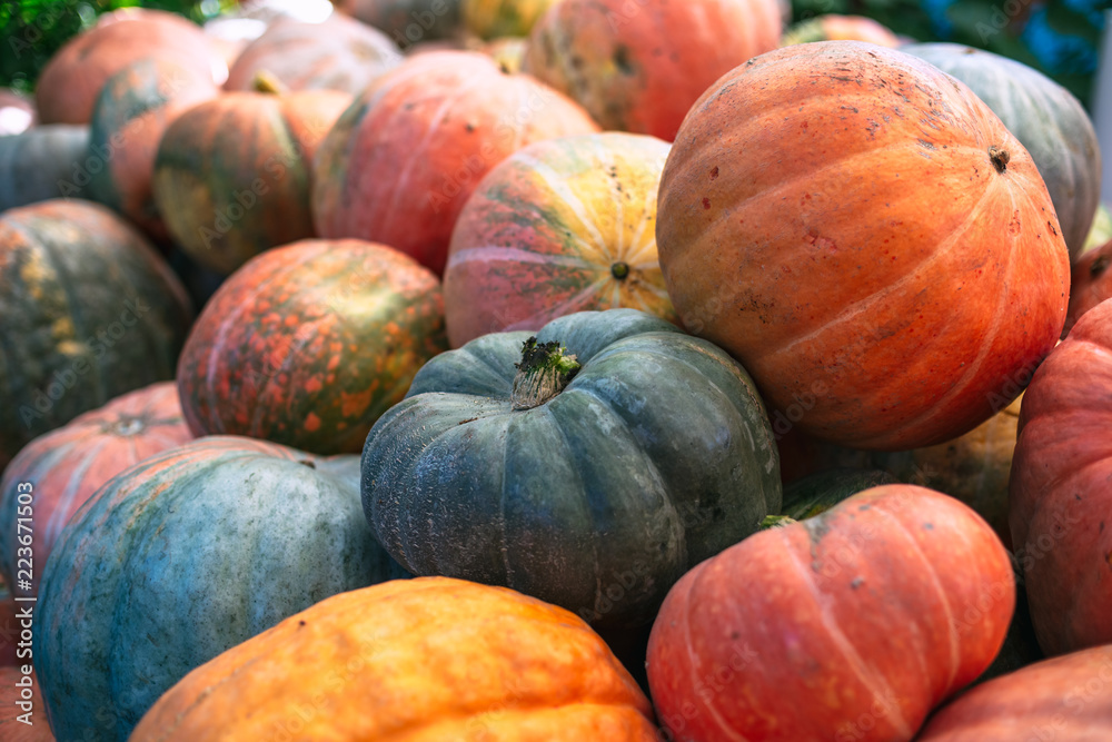 Heap of big dirty pumpkins. Heap of big dirty pumpkins.