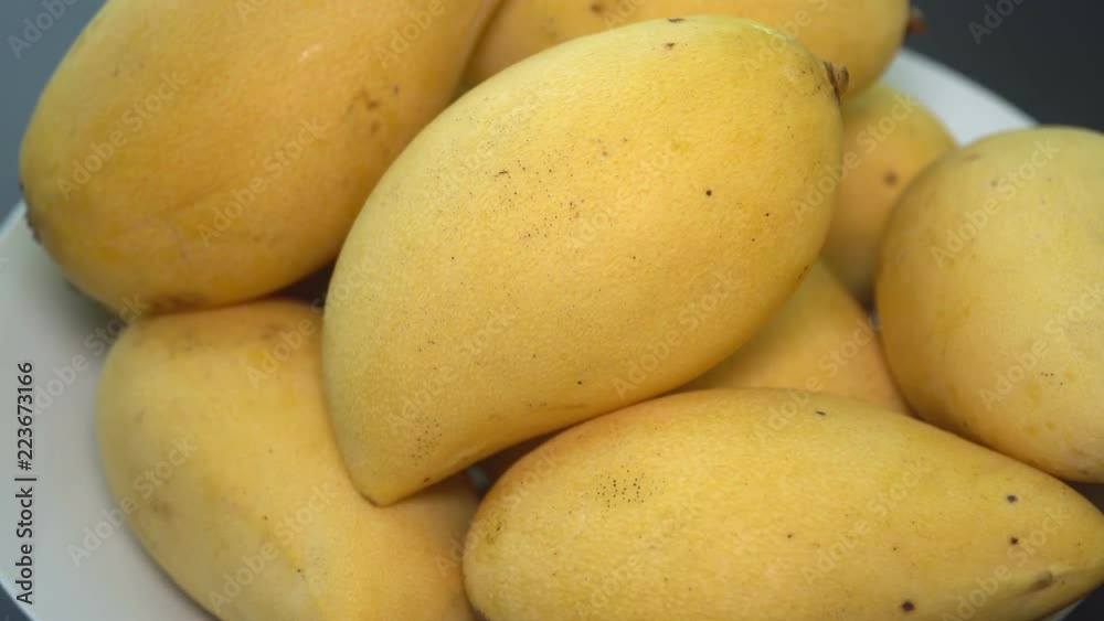 Many Yellow Thai Mango Fruit Rotating in White Bowl Many Yellow Thai Mango Fruit Rotating in White Bowl