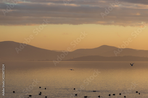 Beautiful view of a lake at sunset  with orange tones and birds flying and on water