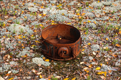 Autumn