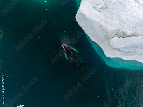Grönland | Luftaufnahme