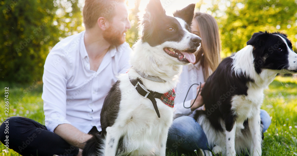 Obraz premium A young couple walking a dog in the park