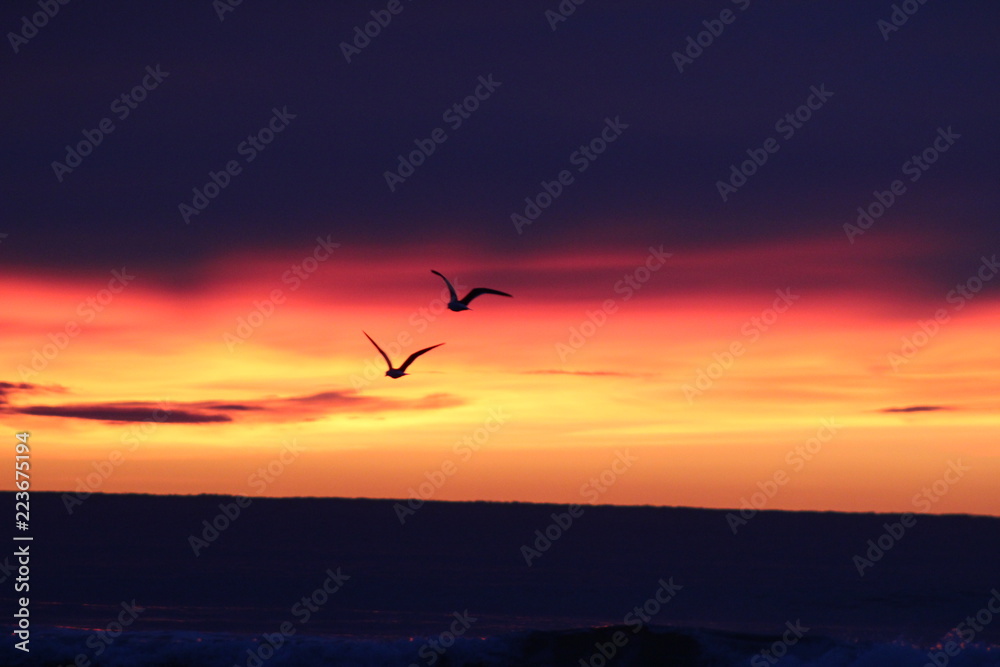 Fototapeta premium Dawn Flight 3