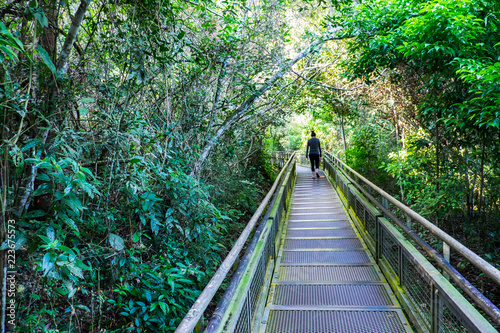 The paths at the falls.
