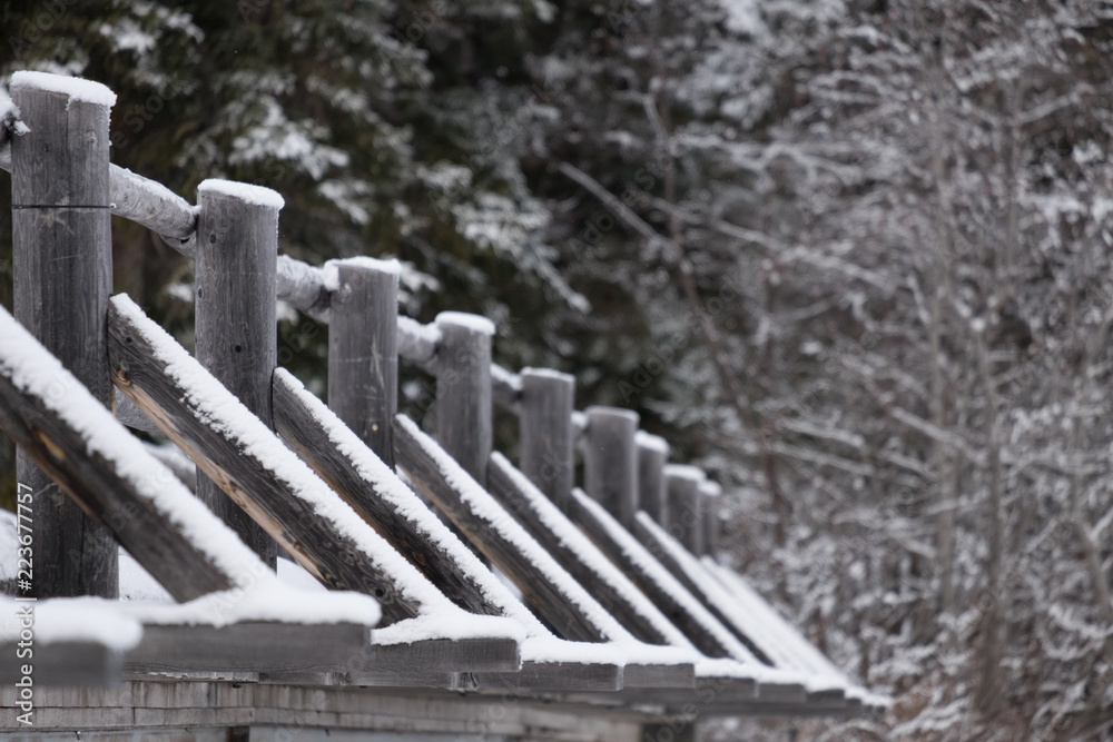 Fototapeta premium Snowy Bridge