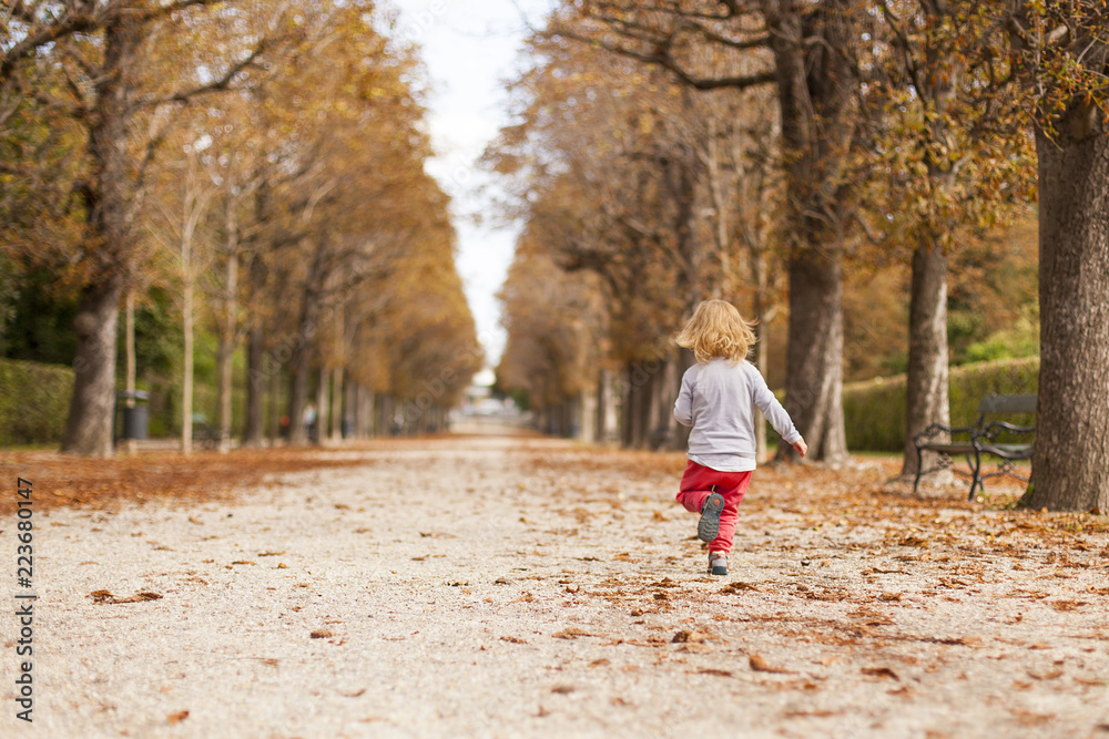 Little child running trough tree alley in autumn. Kleinkind läuft durch herbstliche Baumallee. Little child running trough tree alley in autumn. Kleinkind läuft durch herbstliche Baumallee.