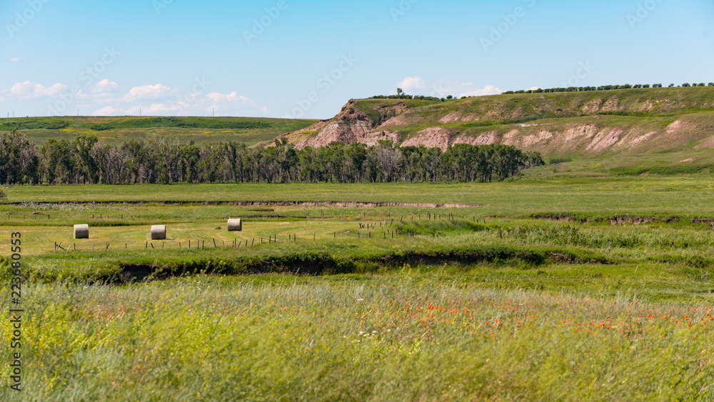Obraz premium Alberta Farmland
