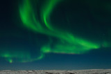 Aurora, Northern lights in the tundra in winter in the sky.